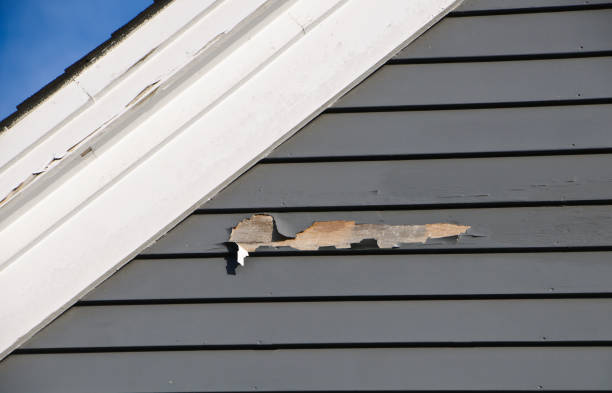 Same-Day Junk Removal Services in Morrisville, NY